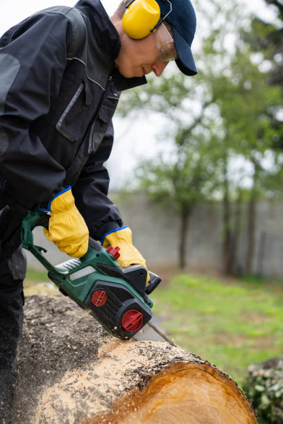 istock A man in uniform cuts an old tree in the yard with an electric saw 2151680394