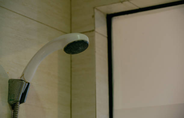 Shower head in a bathroom.