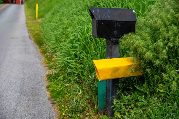 istock Mailbox off center in tall grass on a quiet country road 2151681905