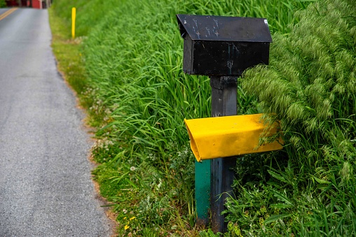 Lush tall grasses surround a black mailbox on a quiet country road with no cars or people, off center, with copy space and yellow newspaper delivery box. Vote by mail concept, rural america.