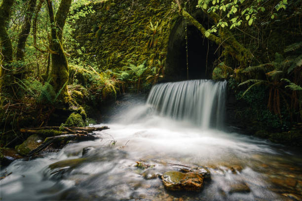 A stream channeled under a road emerges into a small waterfall in the Courel Mountains Unesco Geopark in Lugo Galicia