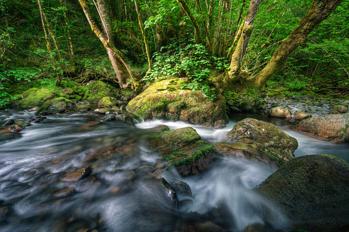 A stream flows happily between limestone rocks and deciduous forests in Courel Mountains Unesco Geopark in Lugo Galicia