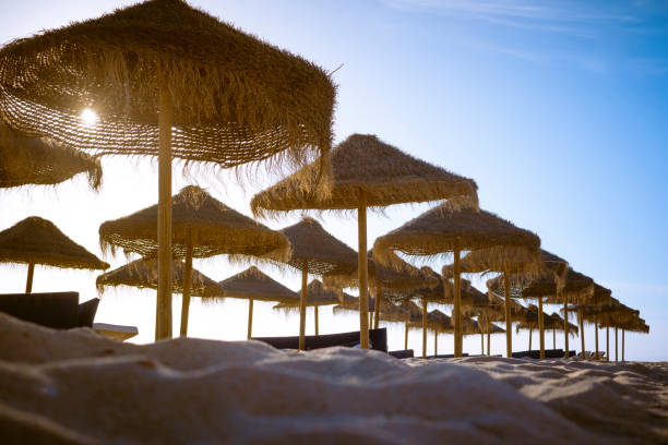 Serene beach scene with a row of thatched umbrellas lined up on the sand