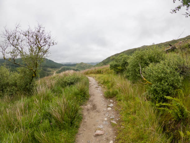 istock Path Through the Misty Scottish Highlands on an Overcast Day 2151686222