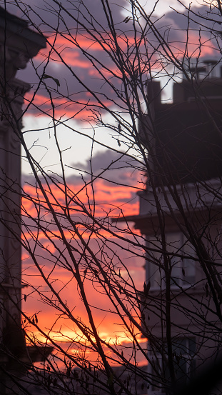 Silhouette of buildings and  tree branches with red sky and clouds at sunset in Istanbul. Shallow depth of field.