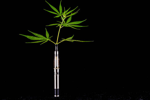 istock A small plant is in a vase with a metal stem 2151700431