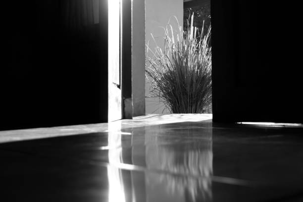 A dark hallway has a doorway cracked open. Harsh, bright light from behind the door sends spooky shadows across the floor. Intentional grain, noise and distress. An illuminated night light at the end of the hall does little to brighten the scene.