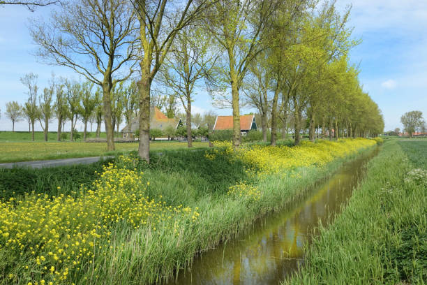 istock Springtime in Noord-Holland 2151702282
