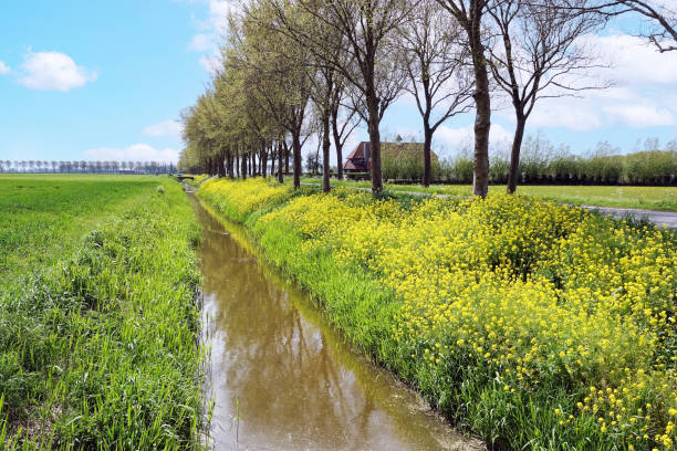 Springtime in Noord-Holland