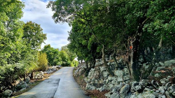 istock Island Cres - old street 2151703995