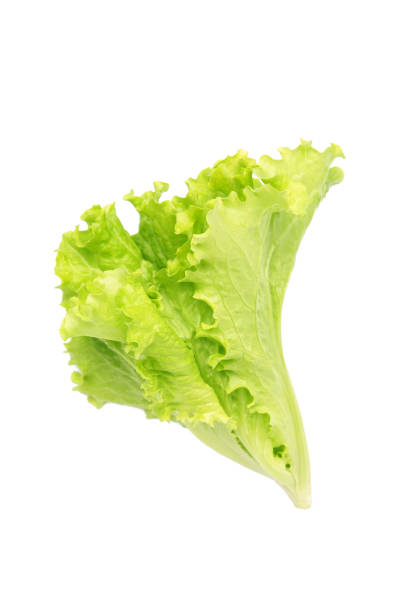 istock Lettuce leaves isolated on a white background. 2151705442