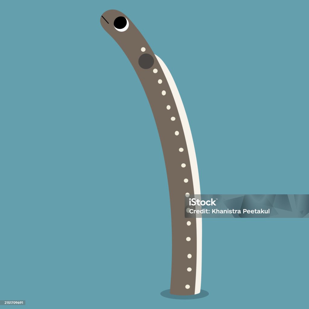 Java Spaghetti Eel Spaghetti Garden Eel Single 5 Stock Illustration - Download Image Now ...