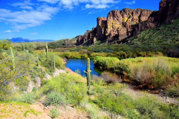 istock Salt River Recreation Area Arizona 2151710174
