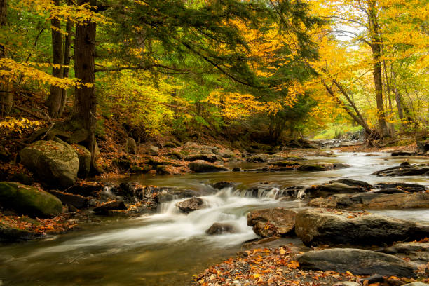 istock autumn forest with a river cascading water among the stones. Long exposure. 2151711240