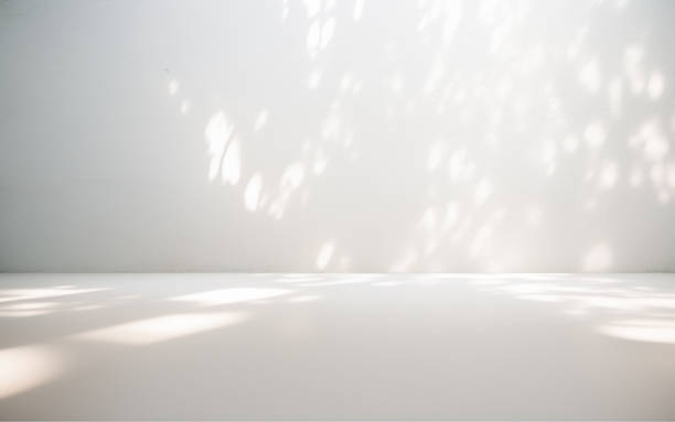 istock Background image in gray tones with a play of light and shadow for creative work or presentation. 2151711721