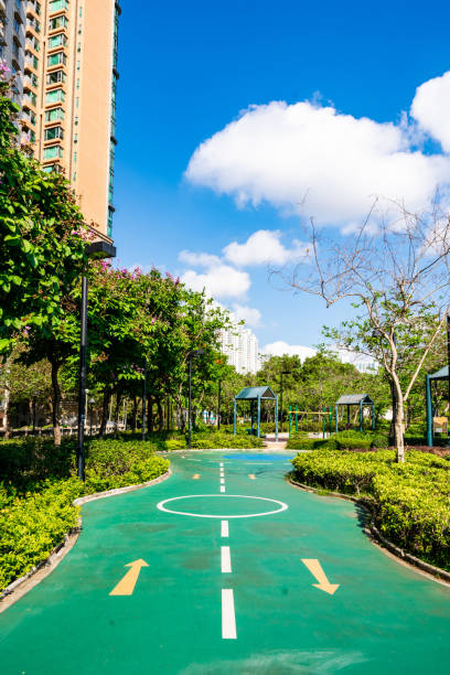 istock Bike lane in a park 2151712134