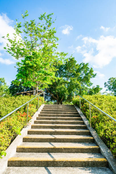 istock Stairway leading up in park 2151712162