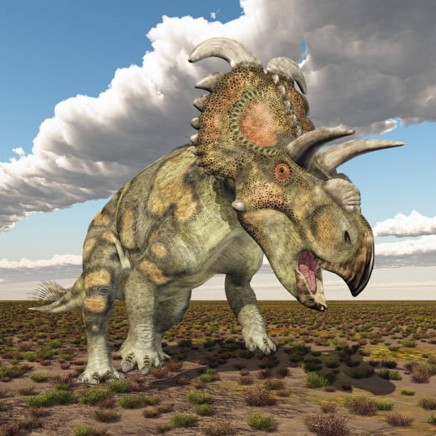 istock Dinosaur Albertaceratops in a landscape 2151712217