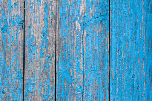 blue wooden background, old wooden wall with remnants of turquoise paint