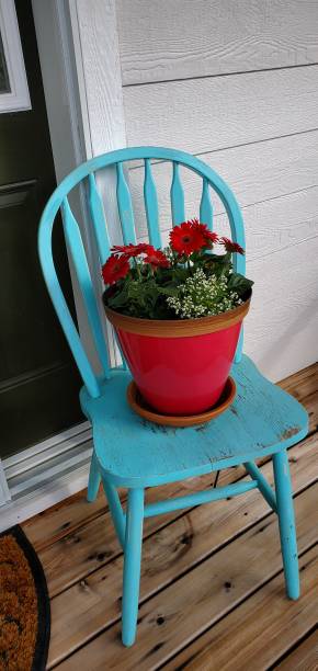 istock Potted flowers on a chair 2151721553