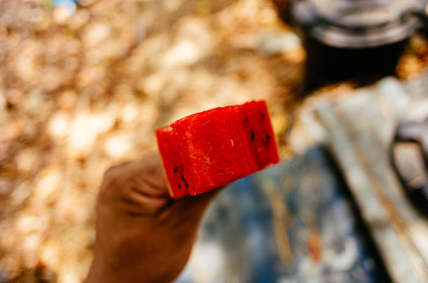 piece of water melon