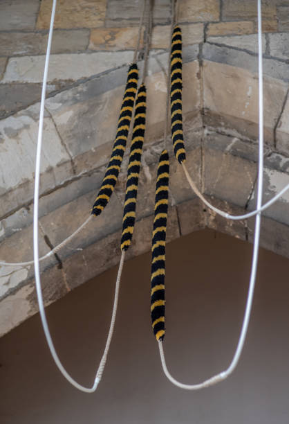 Four ropes for ringing bells in an ancient church in England, UK. Depicts campanology and Christianity