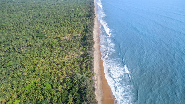 istock nehatheeram beach chavakkad kerala aerial view 2151723763