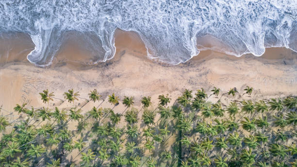 istock nehatheeram beach chavakkad kerala aerial view 2151723764