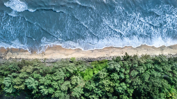 istock nehatheeram beach chavakkad kerala aerial view 2151723770