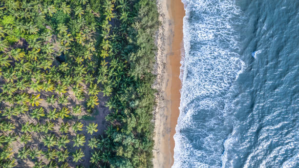 istock nehatheeram beach chavakkad kerala aerial view 2151723791