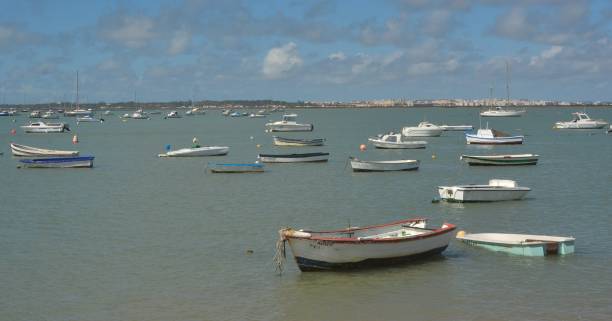 The beach of La Barrosa in Chiclana de la Frontera Andalusia Spain