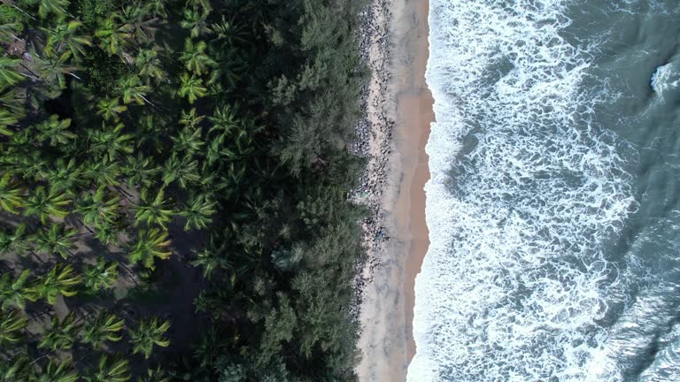nehatheeram beach chavakkad kerala aerial view