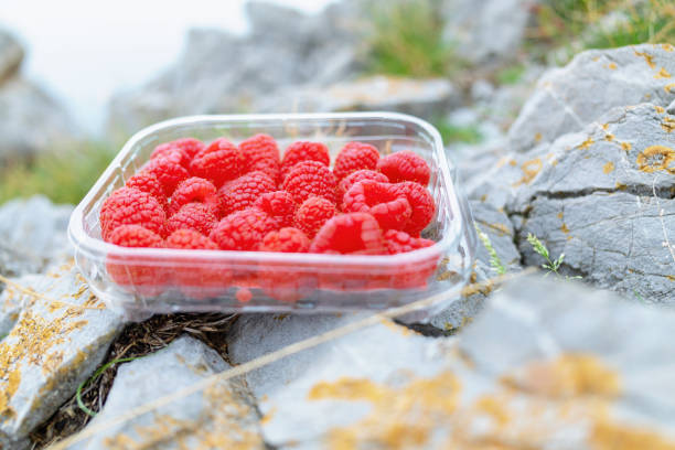 Transparent plastic box with raspberries on the rocks by the sea