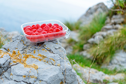 Transparent plastic box with raspberries on the rocks by the sea