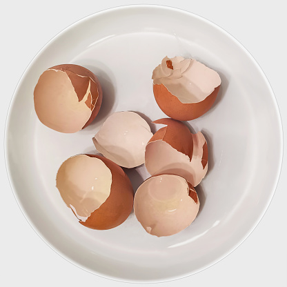 Bunch of crushed empty eggs shells set on white porcelain plate, isolated on white background, viewed from directly above, high resolution stock image.