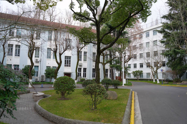 Shenzhen, China -February 17 , 2024:Fudan University in Shanghai, China, both sides have button trees. Fudan University is a famous university in China.