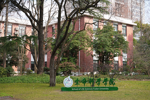 Shenzhen, China -February 17 , 2024:Fudan University in Shanghai, China, both sides have button trees. Fudan University is a famous university in China.