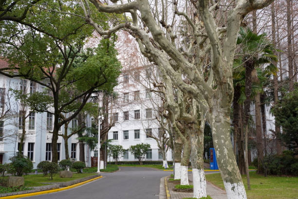 Shenzhen, China -February 17 , 2024:Fudan University in Shanghai, China, both sides have button trees. Fudan University is a famous university in China.