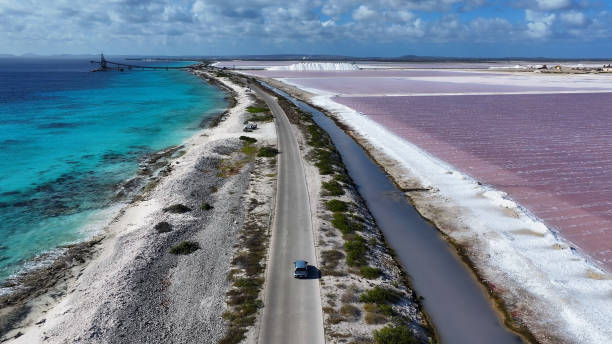 istock Beachfront Road At Kralendijk In Bonaire Netherlands Antilles. 2151734986