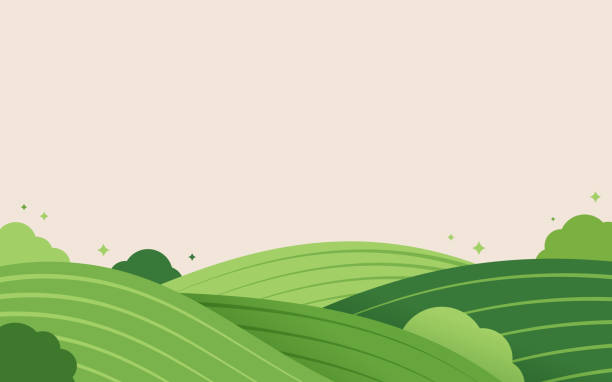 сельское хозяйство поля вид с воздуха фоновый рисунок - ферма stock illustrations