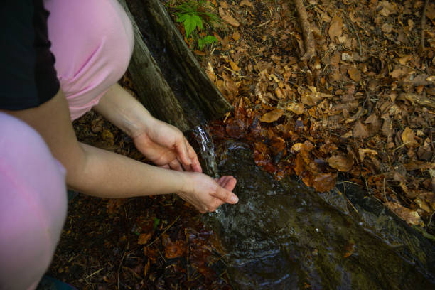 A source of drinking water in the wild, cold water, wash hands, natural pure water