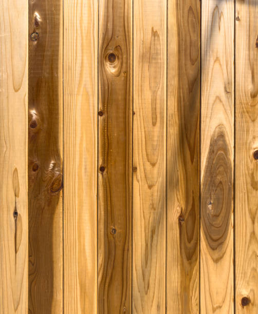istock Wood Fencing - Color Portrait Format 2151755124
