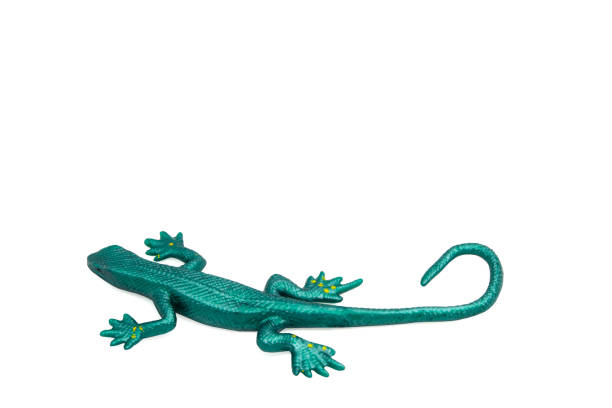 istock Rubber lizard on a white background. Antistress toy. For text. 2151755641
