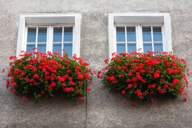 istock Two windows in an ancient building in Gdansk, Poland 2151755649