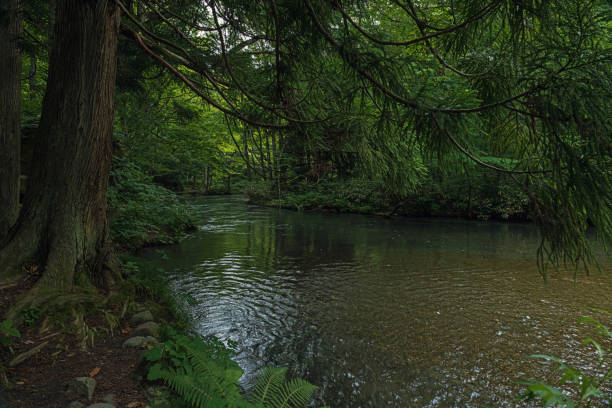 istock Scenery of Oirase Stream 2151758603