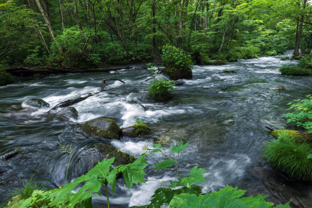 istock Scenery of Oirase Stream 2151758625