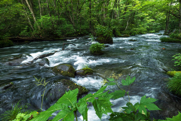 istock Scenery of Oirase Stream 2151758627
