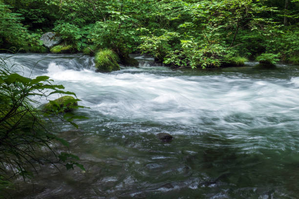 istock Scenery of Oirase Stream 2151758640