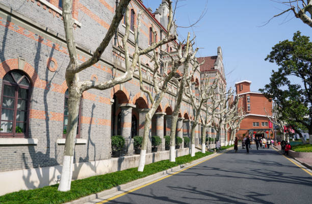Shenzhen, China -February 17 , 2024:Shanghai Jiao Tong University, a campus with many sycamore trees