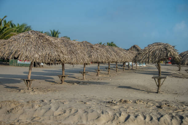 istock A beach scene with several umbrellas and benches 2151764813